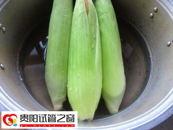 含叶黄素的蔬菜水果有哪些(图1)